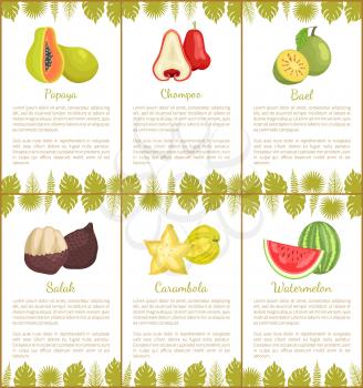 Papaya and salak posters set with text sample vector. Chompoo and bael, carambola slices star exotic fruit and watermelon with seeds. Monstera leaves