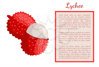 Lychee exotic juicy fruit whole and cut vector poster. Litchi liechee, liche and lizhi, li zhi, or lichee tropical edible food, vegetable full of vitamins