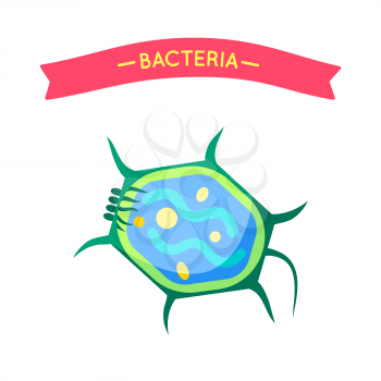 Bacteria applique for biology or bacteriology material. Flat vector fancy tortoise microbe cartoon projection for medicine educational board poster.
