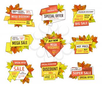 Thanksgiving offer only week at holidays. Exclusive price 99.90 promotional label with maple leaves, oak foliage autumn symbols advert emblems isolated vector