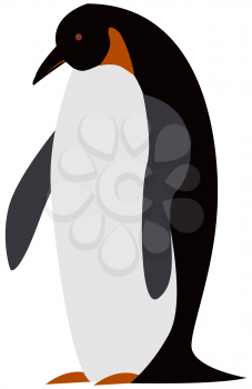 Large black and white marine bird vector illustration. Animal living in antarctic. King penguin with long beak and short legs. Swimming bird, penguin, marine animal isolated on white background