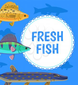Fresh fish postcard, with white round and cartoon fishes, side view of salmon or dorada, tasty food or blue postcard with water animal, restaurant vector