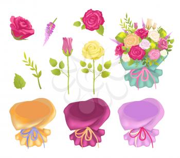 Set of flowers and wrapping of different color and ribbons, bouquet made of roses and delphiniums, vector illustration isolated on white background