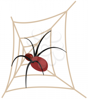 Huge spider sits on spiderweb with top view, vector halloween, scary and haunted elements. Dangerous insect, tarantula in woven web. Arthropod insect, poisonous spider isolated on white background