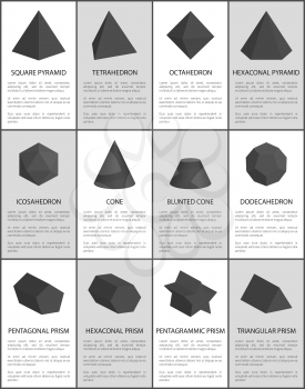 Hexagonal and pentagonal, pentagrammic and triangular black prisms, blunted cone, hexagonal and square pyramid, octahedron vector illustrations set