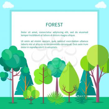 Forest banner with different trees and bushes growing on green grass, vector illustration of ecologically clean zone with wood