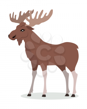 Moose cartoon character. Moose with large horns flat vector isolated on white. North America and Eurasia fauna. Moose icon. Animal illustration for zoo ad, nature concept, children book illustrating