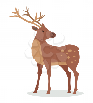 Deer cartoon character. Deer male flat vector isolated on white background. North America and Eurasia fauna. Deer icon. Animal illustration for zoo ad, nature concept, children book illustrating