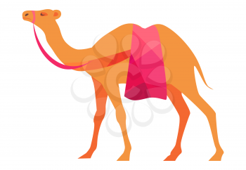 Indian camel vector illustration isolated on white background. Arabic mammal animal, national symbol of India and Africa