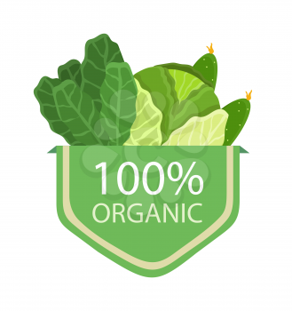 Organic 100 cabbage lettuce 100 organic products collection and headline vegetables and greenery vector illustration isolated on white background