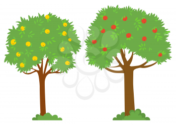 Harvesting vector, isolated trees red and yellow apples. Garden with plants and bushes, foliage and branches. Summer or autumn season picking fruits outside. Picking apples concept. Flat cartoon