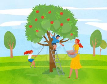 Rural area vector, farming woman with basket picking apples in garden. Playing kids family leisure, daughter and son of mother smiling character working. Pick apples concept. Flat cartoon