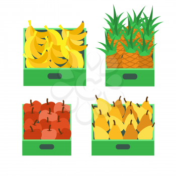 Banana tropical fruit and pineapple set vector. Ripe pears and apples, food in containers boxes for transportation. Sell and storing of organic meal