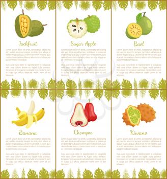 Jackfruit and sugar apple, bael and banana, champoo and kiwano tropical posters set with exotic fruits and leaves vector illustration with text sample