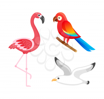 Flying tropical birds vector, isolated flamingo with pink feathers, parrot sitting on stick and seagull. Animals with plumage living in tropics flat style