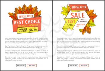 Special exclusive offer buy now poster with oak leaves. Vector autumn sale banner, yellow foliage. Best choice special promo discount on Thanksgiving day