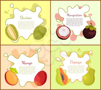 Durian, and mangosteen, ripe succulent mango and papaya with seeds. Posters with text sample set of tropical fruit, exotic nutritious products vector