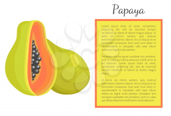 Papaya exotic fruit whole and cut vector poster Papaw or pawpaw Carica plant. Tropical food, similar in appearance tor pear, dieting vegetarian grocery