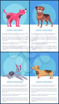 Merry Christmas posters with pink American hairless terrier, friendly rottweiler, grey doberman, long dachshund and sample text vector illustrations.