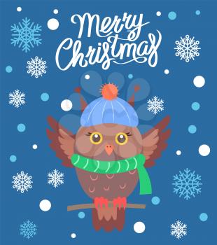 Merry Christmas, promotional poster with owl wearing knitted green scarf and hat, image with title and snowflakes vector illustration