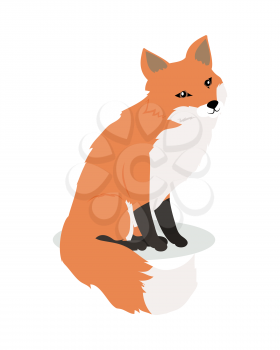 Fox cartoon character. Cute fox flat vector isolated on white background. North America and Eurasia fauna. Fox icon. Animal illustration for zoo ad, nature concept, children book illustrating