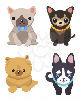 Set of pictures with cute dogs vector illustration of grey black and brown puppies with black eyes, yellow and blue collars, isolated on white backdrop