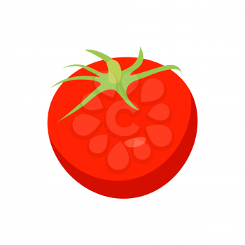 Bright red tomato with cute green tail, sparkling reflection, small shadow, closeup card, simple sketch vector illustration isolated on white backdrop
