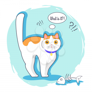What is it surprised kitten vector illustration of white cat with orange spots and eyes, nice blue collar, fish bones, blue shadow and background
