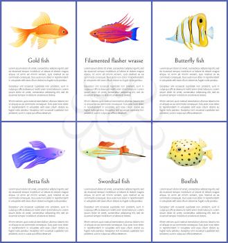 Set of marine and domestic fishes color banners, gold and butterfly water habitats with swordtail and boxfish, filamented wrasse vector illustrations