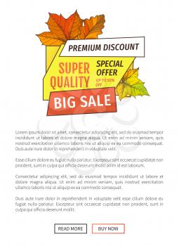 Big sale super quality special offer up to 50 percent discount promo poster text sample. Autumn half price advertising emblem, foliage and leaves vector