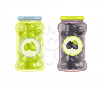 Olives in jar, canned healthy food set. Fruit preserved inside glass container for long shelf life. Product with spicy marinade vector illustration.