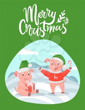 Merry Christmas lettering wishes and piglets with presents gift box and candy stick vector isolated on green. Cartoon pigs in hats wishing happy New Year