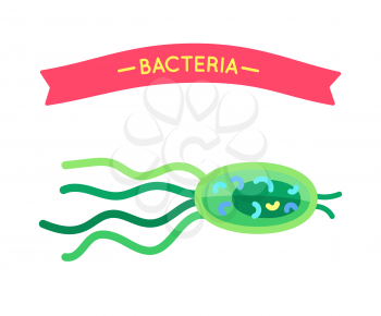 Bacteria organism projection poster for biology material. Miniature medusiform creature microbe or virus zoomed micro life for educational content.