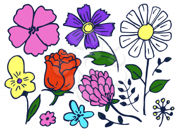 Flowers hand drawn elements set, flourishing rose and camomile, bluebonnet and dog-violet, leaves of plants, isolated on vector illustration
