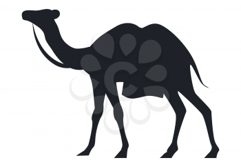 Indian camel black silhouette vector illustration isolated on white background. Arabic mammal animal, national symbol of India and Africa