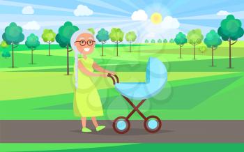 Senior lady with blue trolley pram walking in city park taking care about newborn boy on background of green trees in park vector illustration