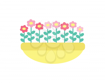 Daisies grow in clay pot vector isolated. Spring pink and red color flowers with green stems and leaves, growing in ground or sand, springtime elements