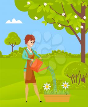 Woman florist watering daisies in flower-pot, garden outdoor, green bushes and grass, tree with flowers. Smiling female gardener in apron planting vector
