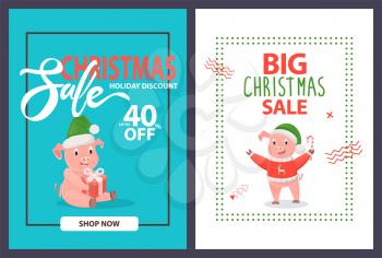 Big Christmas sale up to 40 percent off, holiday discounts posters, shop now. Pigs and piglets in warm winter hat with gift box and candy, in frames vector