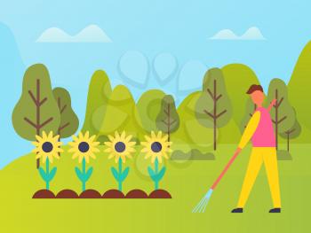 Person working on field of sunflowers vector, man using rakes to cultivate soil for fertility. Confield with blooming flowers, sunny weather in forest