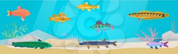 Underwater ocean fauna with exotic fishes. Ocean bottom with marine life reprsentatives. Marine underwater world with school of tropical fish. Seascape, undersea landscape vector illustration