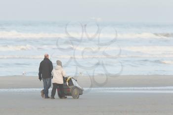Rear view of a young couple, with the female pushing a pram and walking along a beach