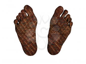 Human feet isolated on white, snake print