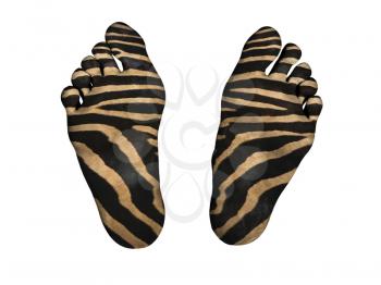 Human feet isolated on white, zebra print