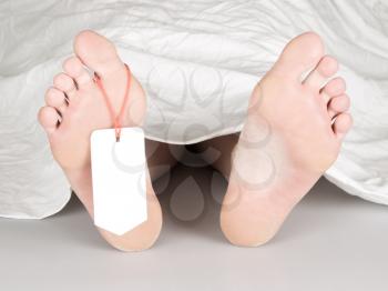 Dead body with toe tag, under a white sheet