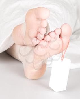 Relaxed dead body with toe tag, under a white sheet, relaxed