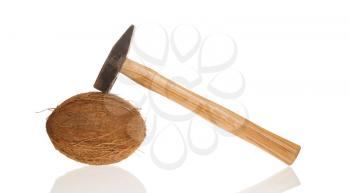 Coconut and a hammer isolated on white