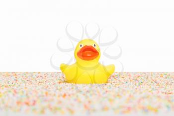 Rubber duck isolated, sitting on colorful candy