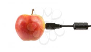 Science and nature symbiosis concept, apple and USB plug