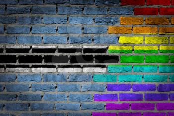 Dark brick wall texture - coutry flag and rainbow flag painted on wall - Botswana